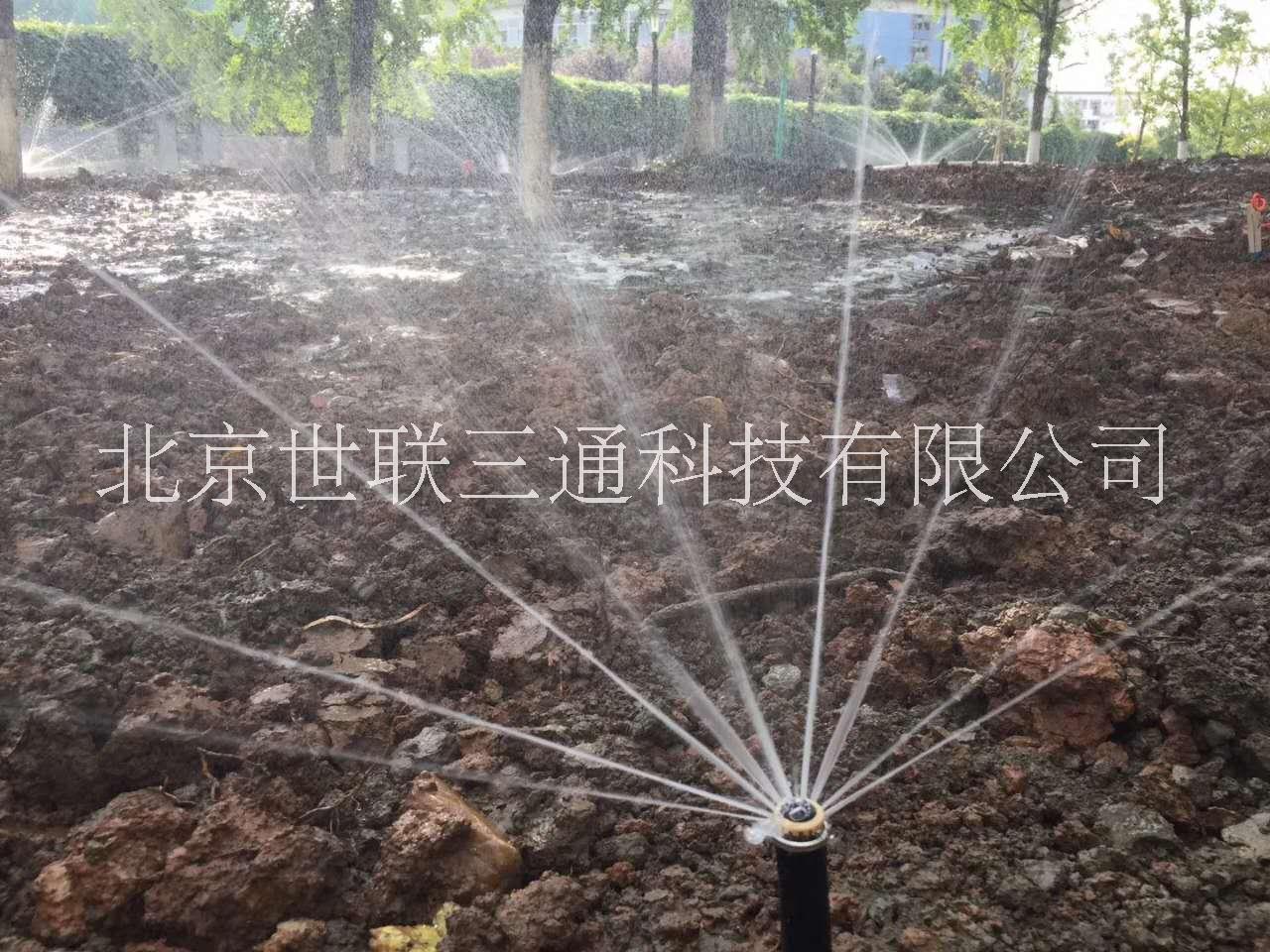 美國亨特圖片/美國亨特樣板圖 (2)