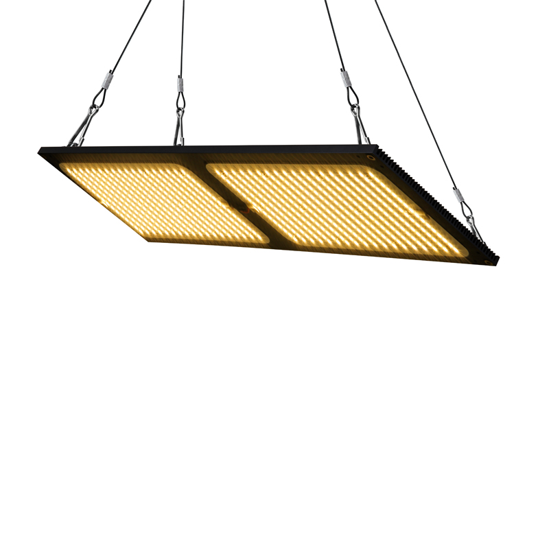 植物生長燈圖片/植物生長燈樣板圖 (2)