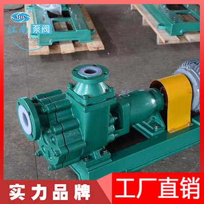 氟塑合金自吸泵圖片