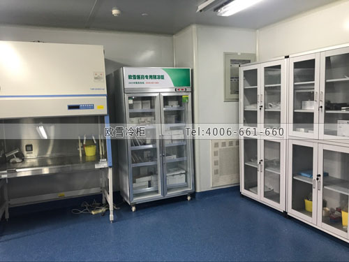江蘇醫(yī)用藥品柜規(guī)格尺寸有哪些