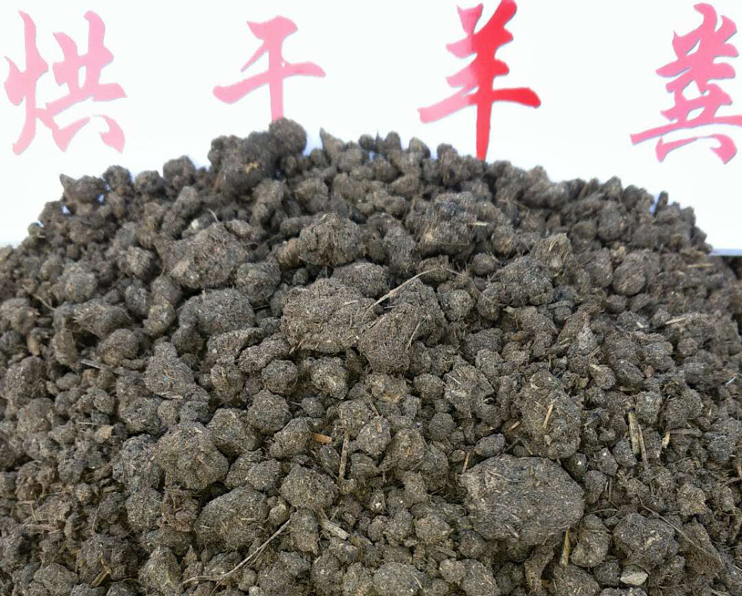 羊糞有機肥圖片/羊糞有機肥樣板圖 (2)