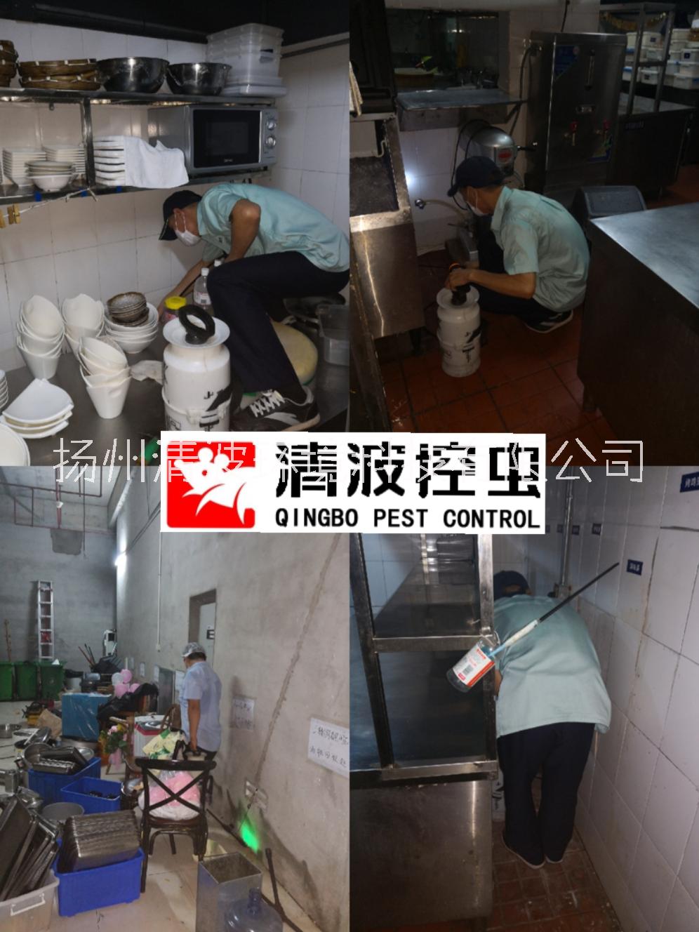 殺蟑螂圖片/殺蟑螂樣板圖 (2)