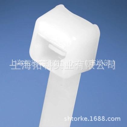 尼龍線纜扎帶圖片/尼龍線纜扎帶樣板圖 (2)
