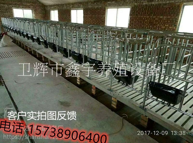 母豬限位欄圖片/母豬限位欄樣板圖 (4)