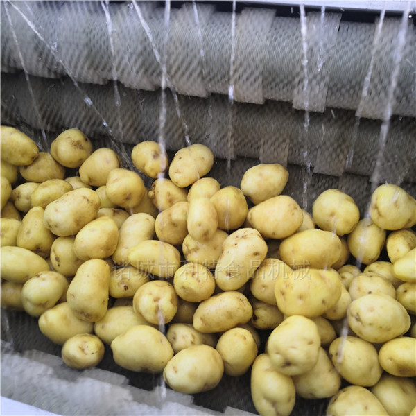 大型馬鈴薯毛輥去皮機(jī)，毛刷去皮清洗機(jī)，土豆去皮機(jī)