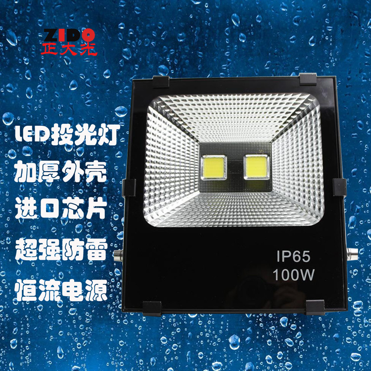 100W集成投光燈圖片/100W集成投光燈樣板圖 (1)