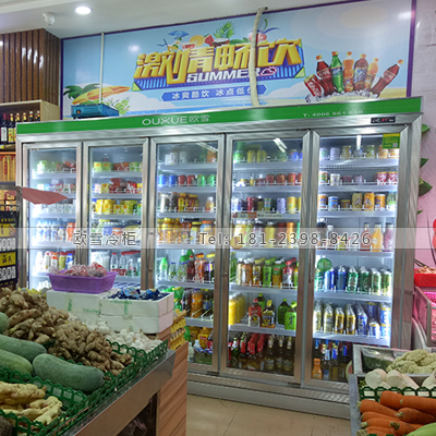 立式冷柜圖片/立式冷柜樣板圖 (1)