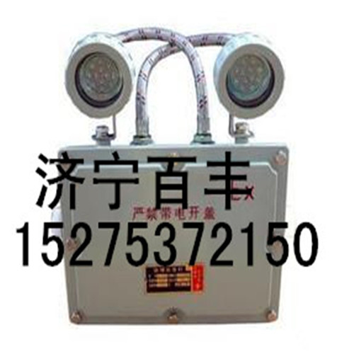 應(yīng)急燈圖片/應(yīng)急燈樣板圖 (4)