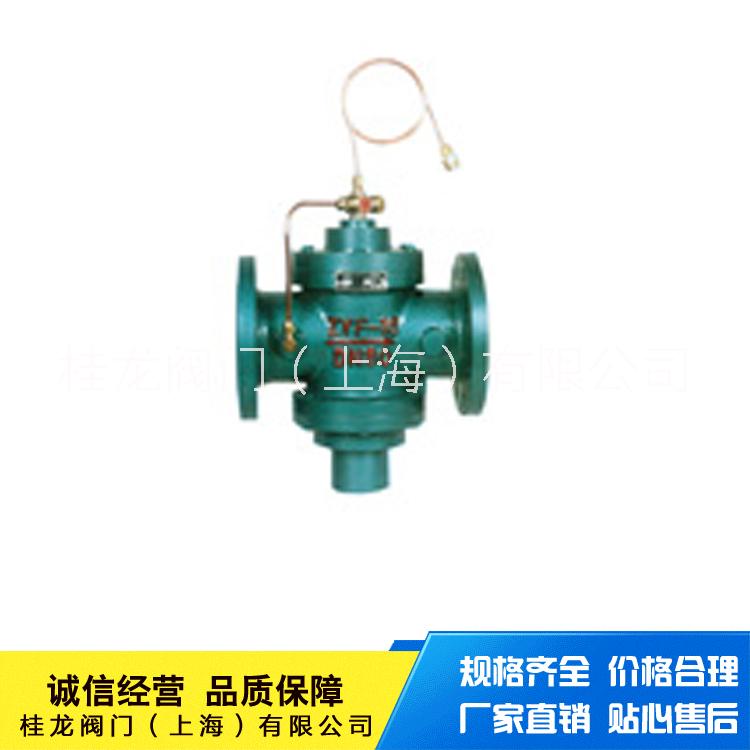 自力式壓差控制閥圖片/自力式壓差控制閥樣板圖 (3)