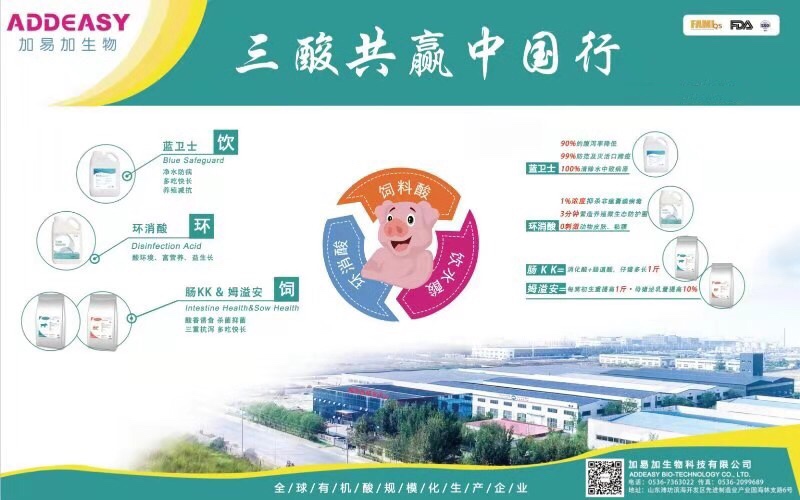成功案例圖片/成功案例樣板圖 (4)