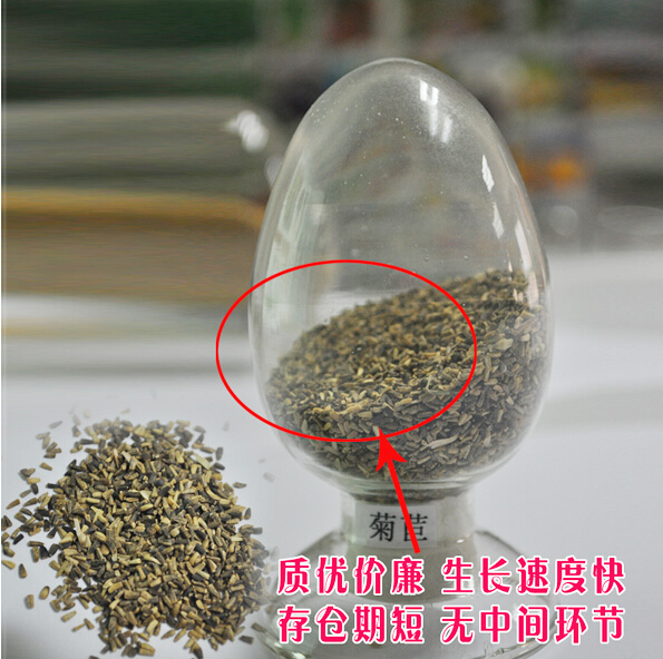 廣東陽江圖片/廣東陽江樣板圖 (1)