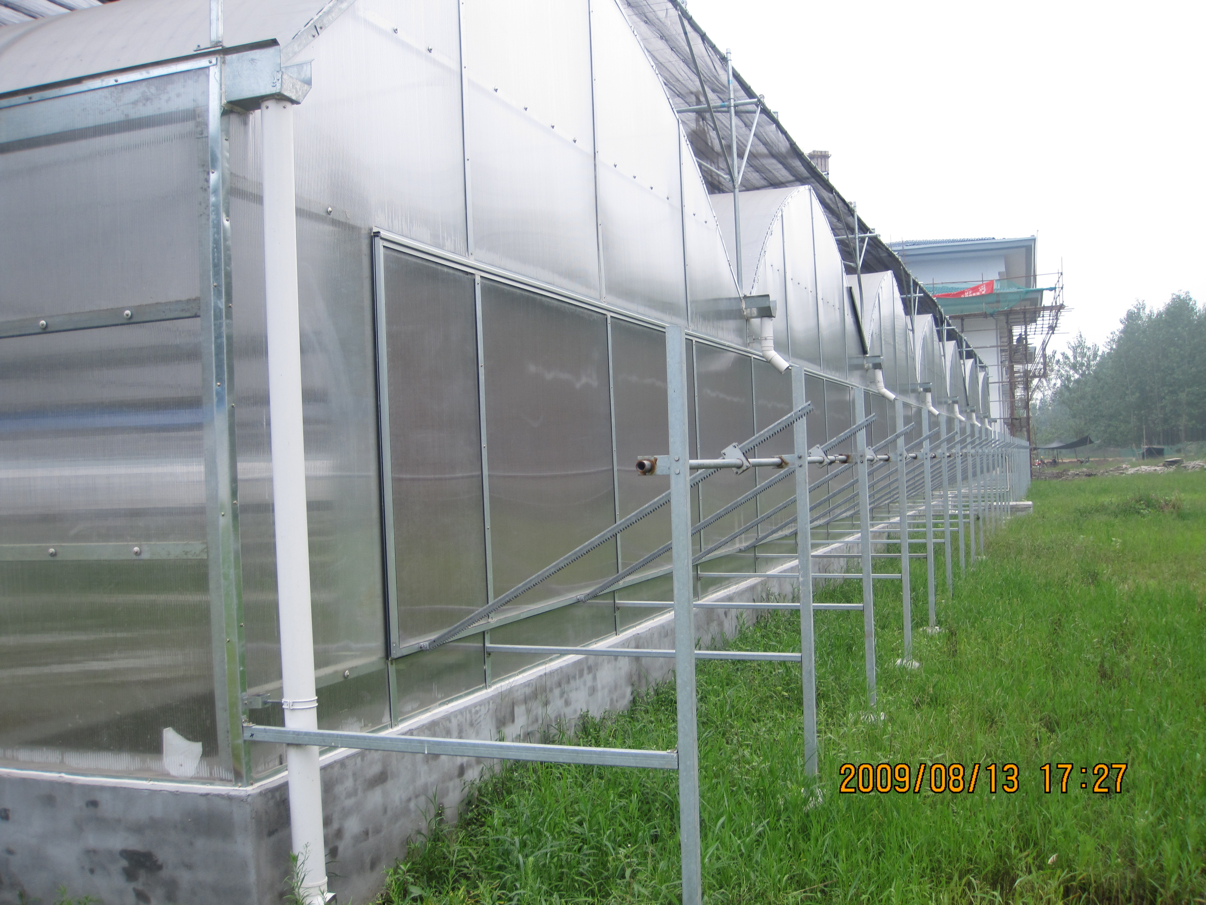 華東地區(qū)簡易溫室大棚圖片