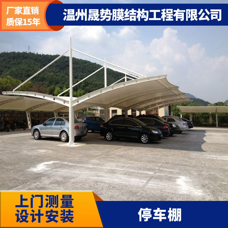 汽車雨棚圖片/汽車雨棚樣板圖 (2)