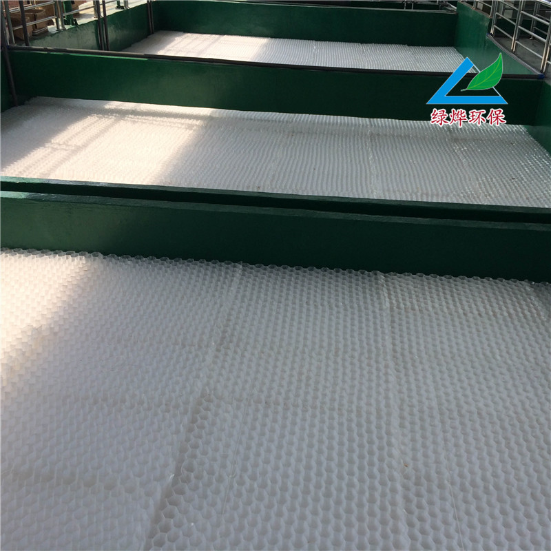 蜂窩斜管圖片/蜂窩斜管樣板圖 (3)