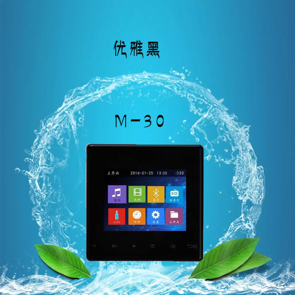 家庭背景音樂主機(jī)圖片/家庭背景音樂主機(jī)樣板圖 (3)