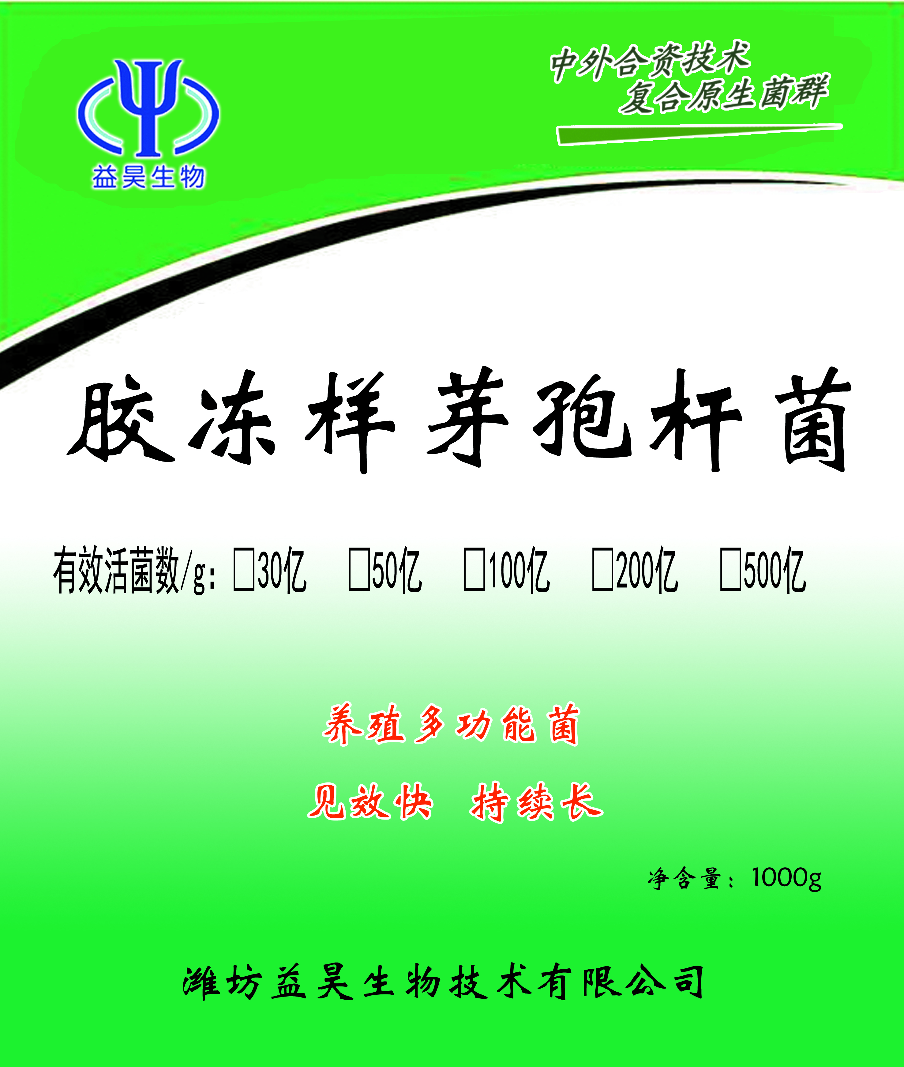 膠質芽孢桿菌圖片
