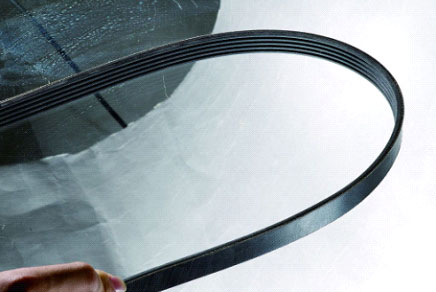 多楔帶圖片/多楔帶樣板圖 (1)