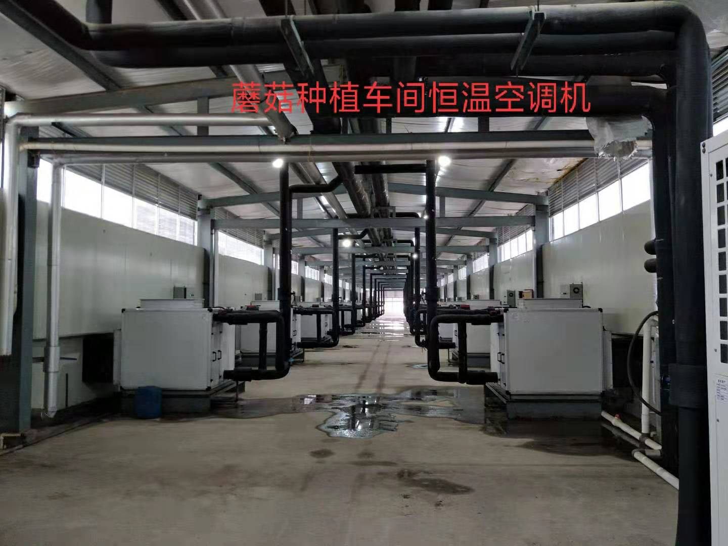潔凈型空調(diào)機組圖片/潔凈型空調(diào)機組樣板圖 (3)