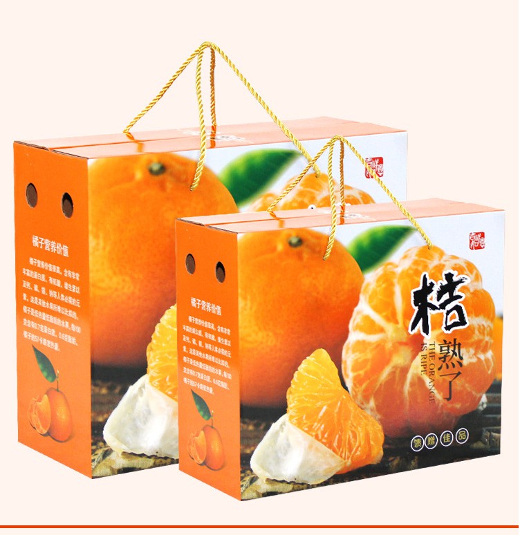 橘子圖片/橘子樣板圖 (3)