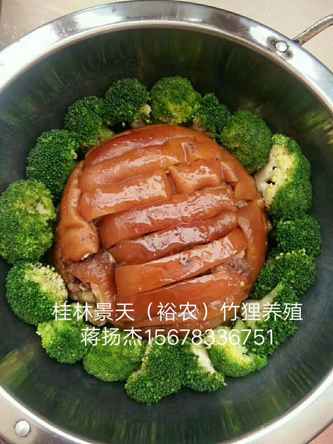 廣東佛山人工養(yǎng)殖基地圖片