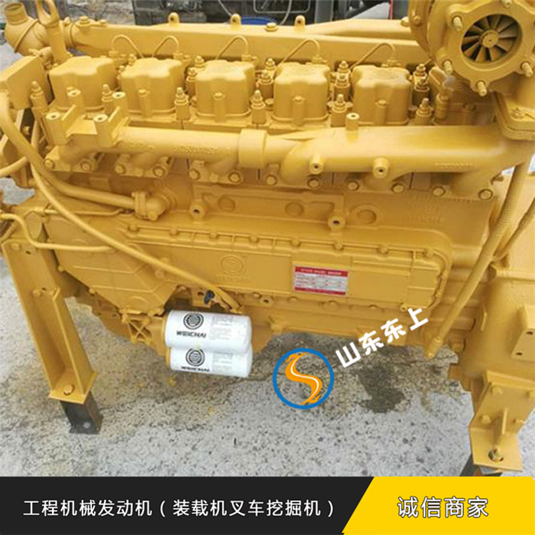 濰柴WP10.336E40發(fā)動(dòng)機(jī)圖片/濰柴WP10.336E40發(fā)動(dòng)機(jī)樣板圖 (4)