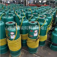 礦用隔爆排沙泵BQS200-30-37/N江蘇徐州直銷內(nèi)裝式潛水排污電泵