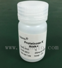 蛋白酶k(PK)