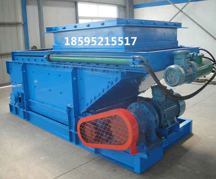 甲帶圖片/甲帶樣板圖 (3)