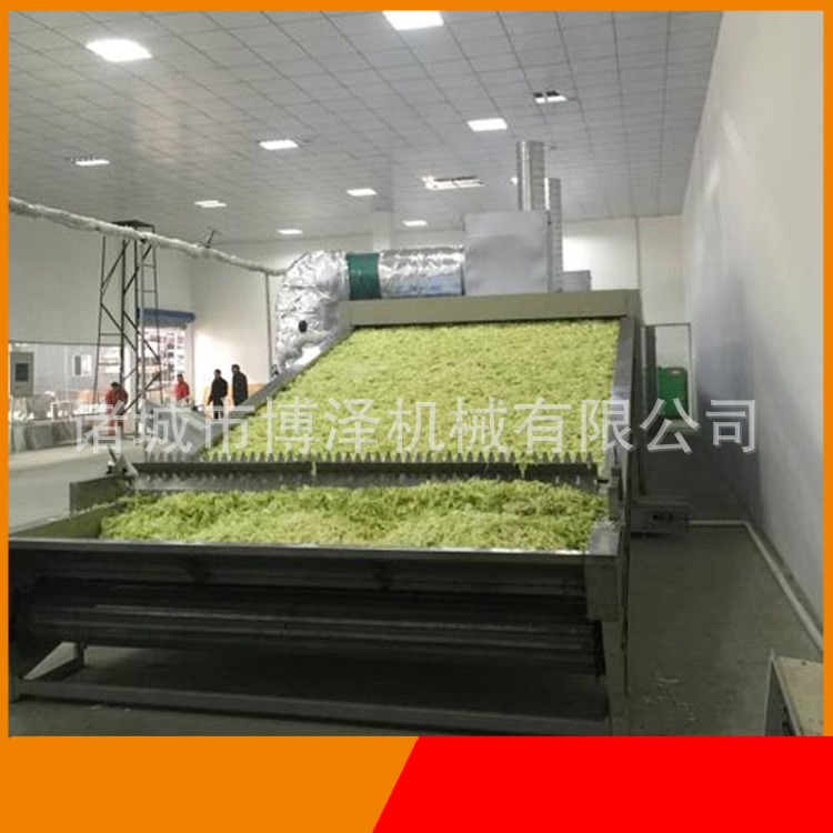 芒果干烘干機(jī)圖片