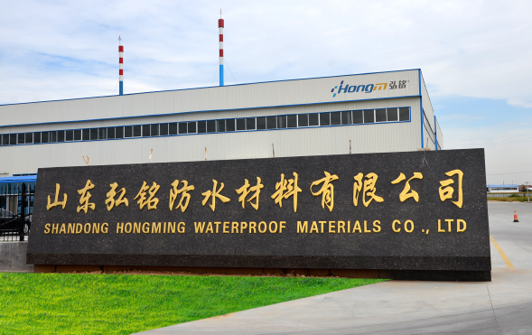 SBS改性瀝青防水卷材圖片/SBS改性瀝青防水卷材樣板圖 (4)