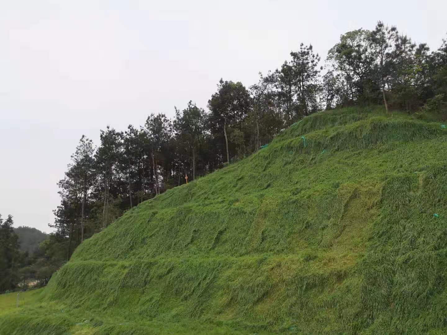 山地覆綠、土壤修復(fù)圖片