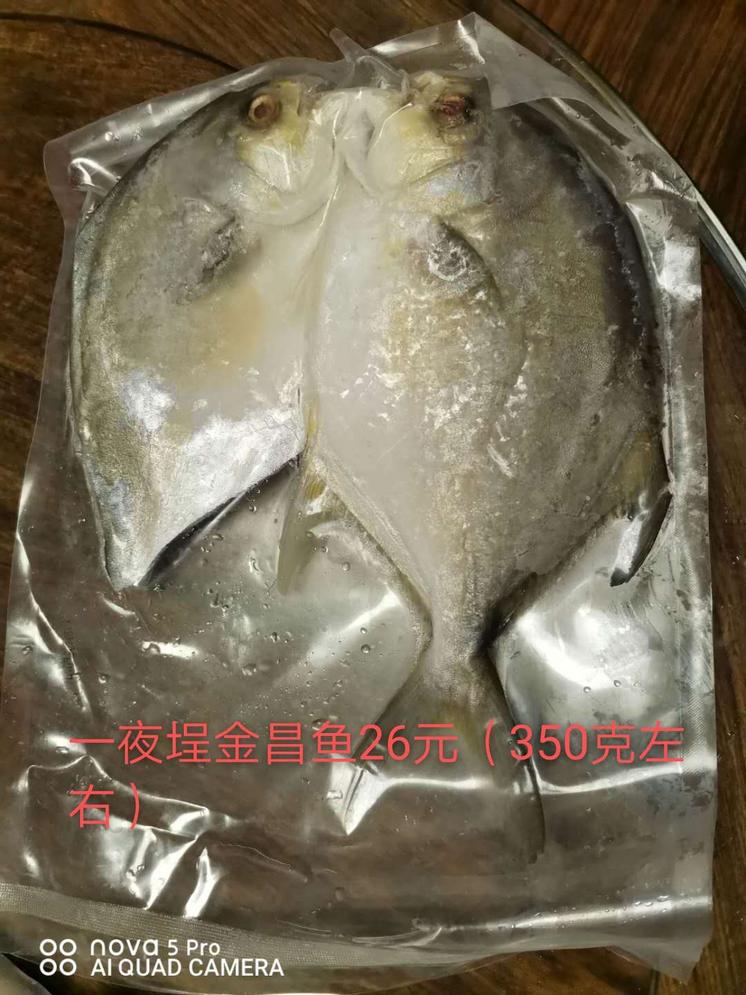 江门是冷冻食品厂家直销 厂家批发价出售 冷冻金昌鱼批发图片