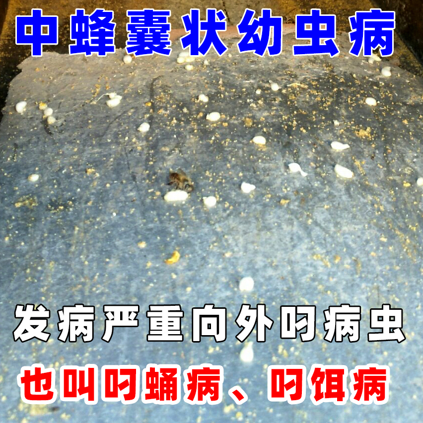 中囊抗體一兩試用裝50ml圖片