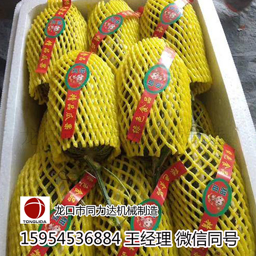 河北甜瓜包裝網(wǎng)套機(jī)-包裝網(wǎng)套機(jī)圖片