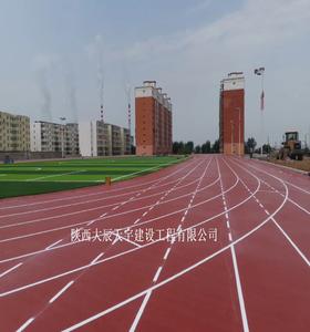 大辰天宇球场地坪 丙烯酸球场 硅PU球场 塑胶跑道 人造草坪 体育场地 羽毛球场地面图片