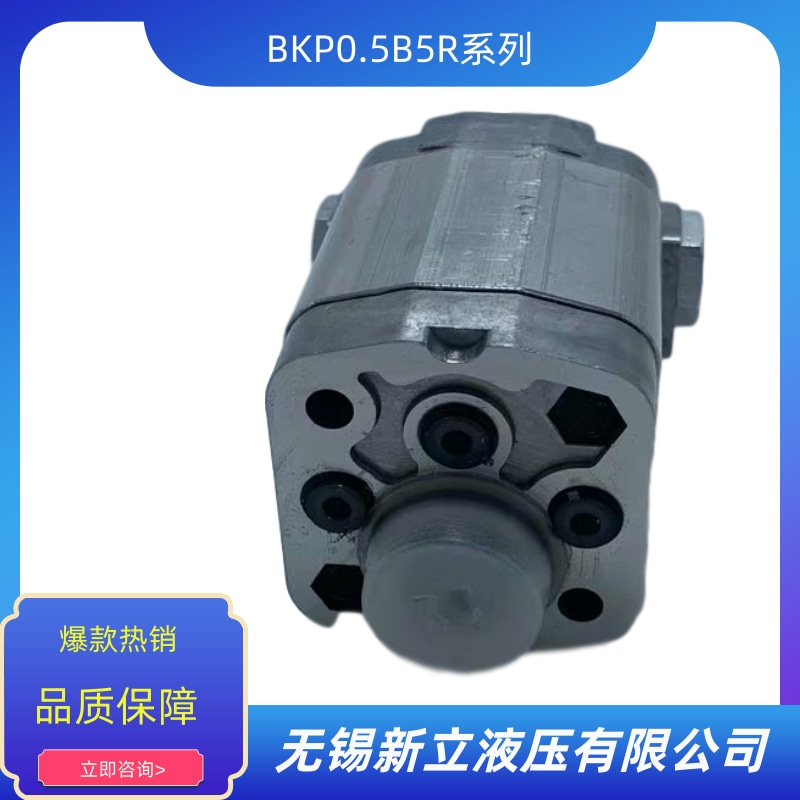 齒輪油泵BKP0.5B5R圖片/齒輪油泵BKP0.5B5R樣板圖 (1)
