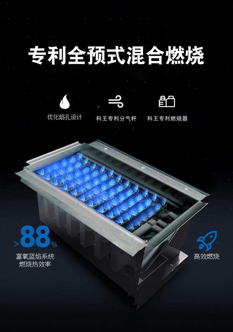 燃?xì)鉄崴鲌D片/燃?xì)鉄崴鳂影鍒D (2)