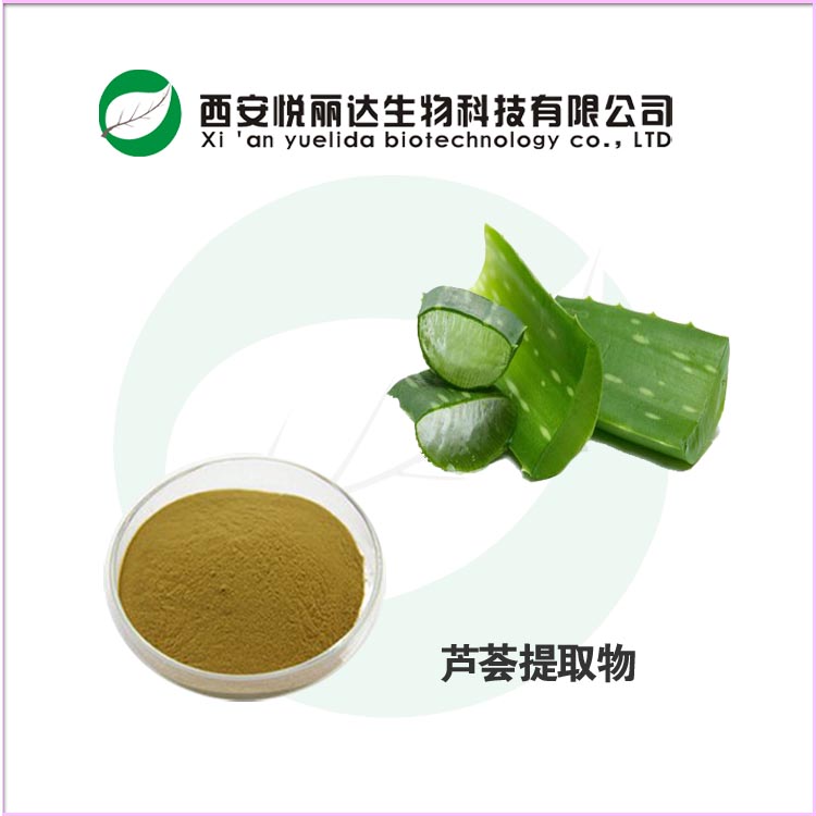 蘆薈提取物圖片/蘆薈提取物樣板圖 (3)
