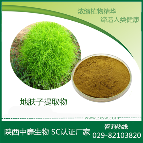 地膚子提取物圖片