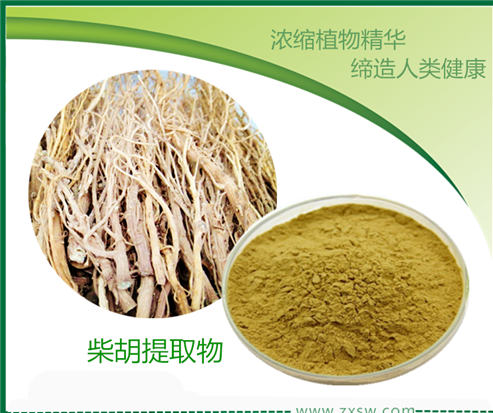 柴胡提取物圖片