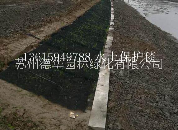 邊坡養(yǎng)護(hù)圖片/邊坡養(yǎng)護(hù)樣板圖 (2)