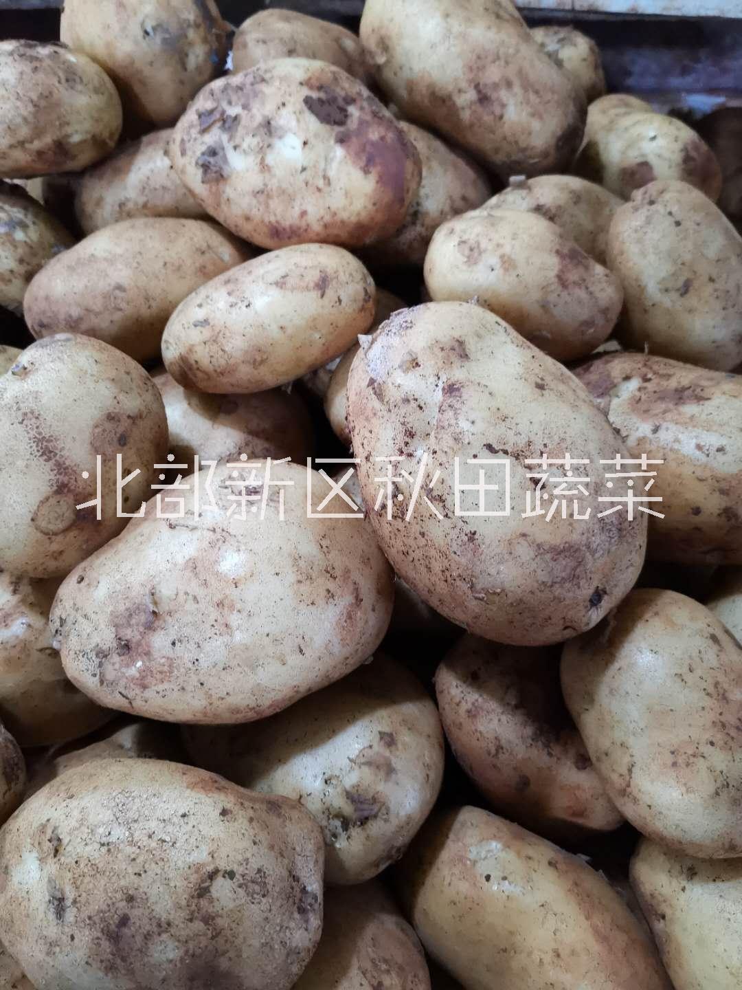 重庆有机蔬菜配送价格重庆有机蔬菜配送价格、哪家公司好、联系方式、电话【重庆昶疆源农业发展有限公司】