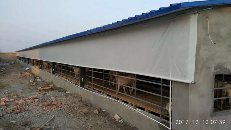 養(yǎng)殖場(chǎng)圖片/養(yǎng)殖場(chǎng)樣板圖 (1)