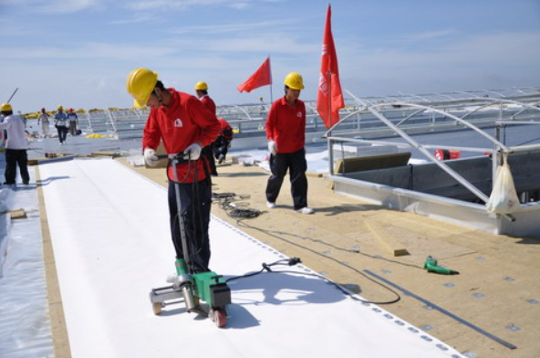 防水卷材圖片/防水卷材樣板圖 (4)