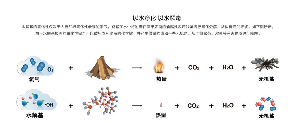 广东健宜食材净化机图片