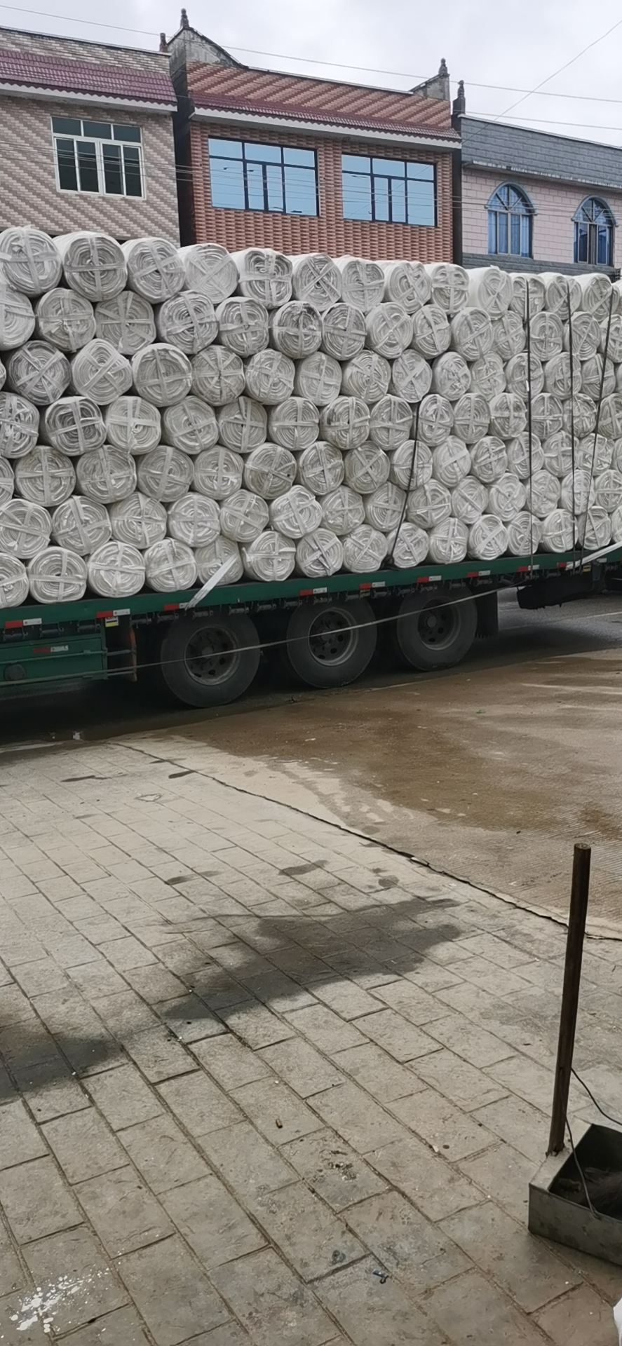 布帶圖片/布帶樣板圖 (4)