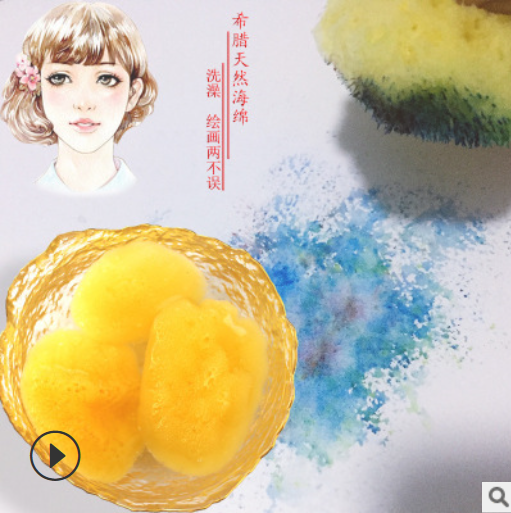 繪畫用吸水天然海綿圖片/繪畫用吸水天然海綿樣板圖 (3)