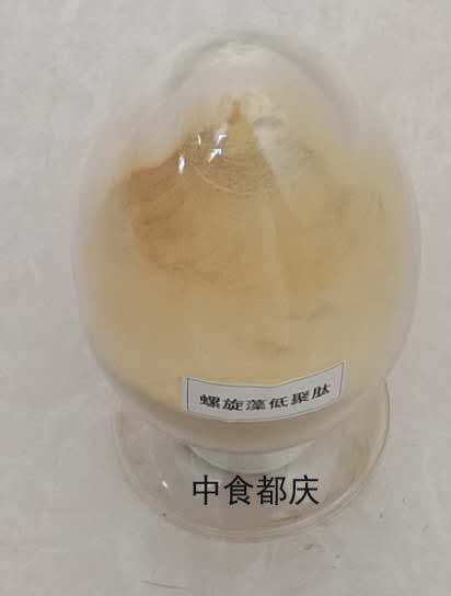 螺旋藻圖片/螺旋藻樣板圖 (4)