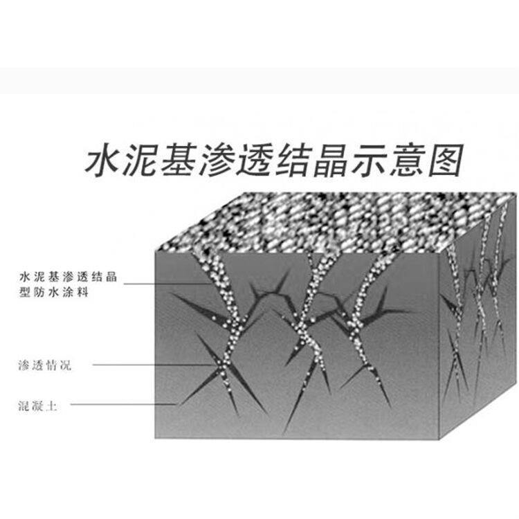 水泥基滲透結(jié)晶型防圖片/水泥基滲透結(jié)晶型防樣板圖 (2)