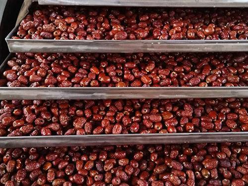 小型食品真空凍干機圖片